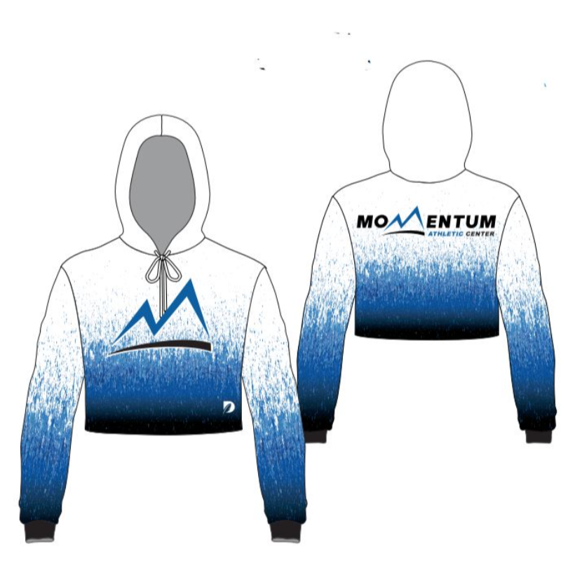 Momentum Cropped Hoodie Main Image